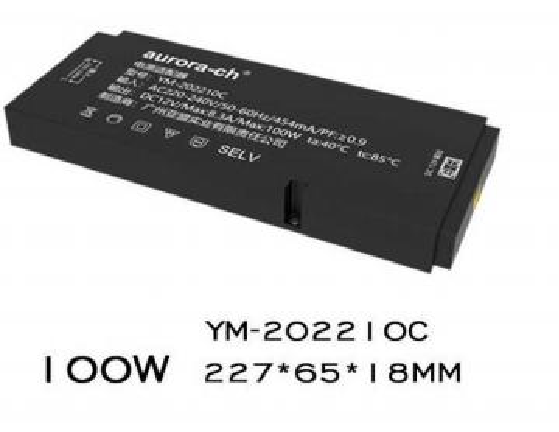Power Supply 100W