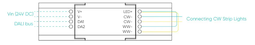 DALI Light Strip Controller 2