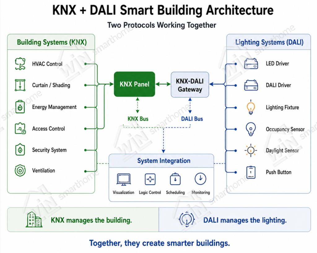 Diagram illustrating a KNX and DALI smart building architecture, showing KNX for building control and DALI for lighting, connected via a KNX-DALI gateway.